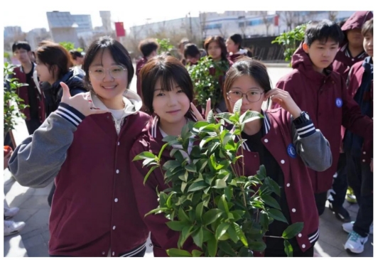 六（liù）力校園裏（lǐ）的植樹（shù）節---“生命哲學課”_ 向下（xià）紮根的力量，向上生長的光芒