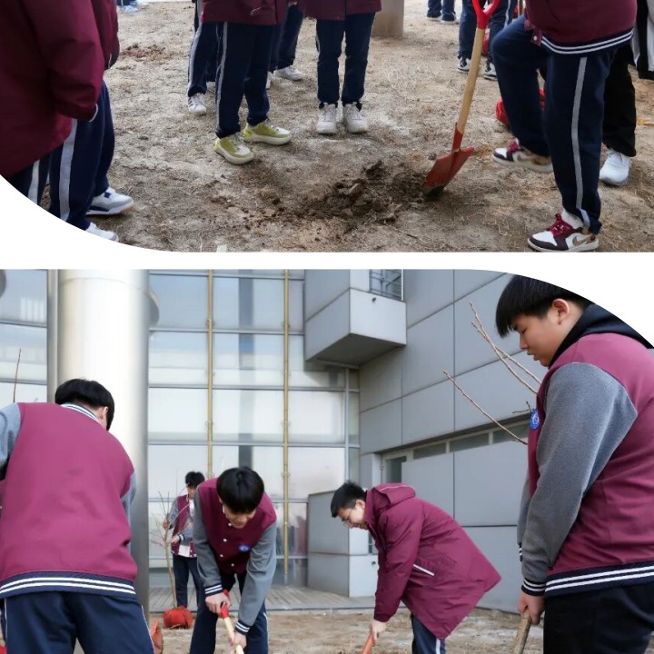 植綠潤（rùn）心 六力賦能——六力高級中學植（zhí）樹節實踐活動紀實