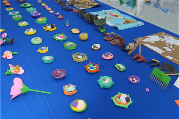 跨學科融合教學，聚焦學生核心素養