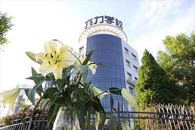 六力（lì）高級中學開放日歡迎你（nǐ）丨（shù）緣聚六力，踏夢出征